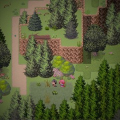 Mysterious Forest