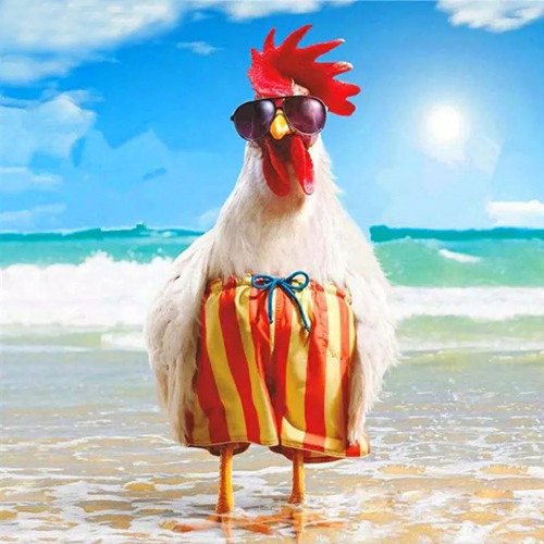 don't call me - Rich Morgan original mix