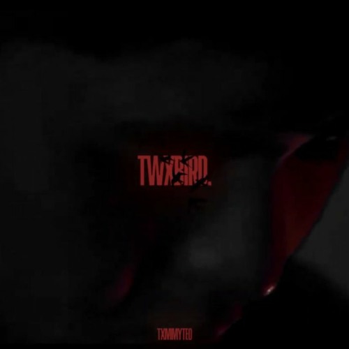 NGÀI - TWXBIRD (MDXI RMX)