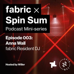 Spin Sum x fabric - 003 - Anna Wall