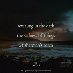 The sadness of things [naviarhaiku609]
