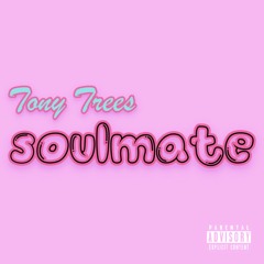 Soulmate (Prod. Tony Trees)