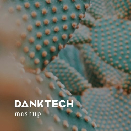 Ghetto Cowboy + Colours - DANKTECH Mashup