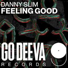 Danny Slim "Feeling Good"