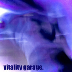 vitality garage  MIX
