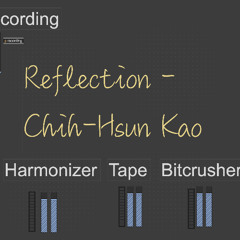 Reflection