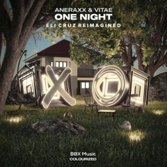 Aneraxx & Vitae - One Night (Nerii Reimagined)