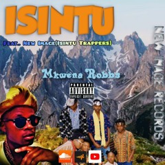 Mkwena Robbs ft New Image_Isintu.mp3