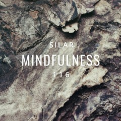 Mindfulness Episode 116