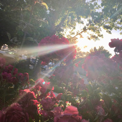 PSYKA - Don't Need You (Prod By SpoonBeats)