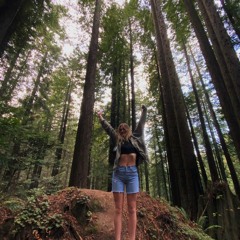 《`☆I STEAL ALL MY LINES FROM THIS THING OUTSIDE CALLED NATURE☆`》