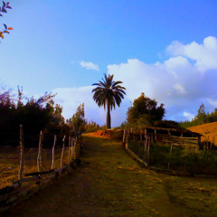 Preludio 1 (D. Vargas Wallis)