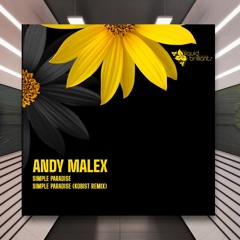 Andy Malex - Simple Paradise (Kobist Remix) [Liquid Brilliants] PREMIERE