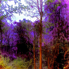 Lilac [Demo] (prod. by Lume Folk)