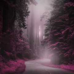 Peer Through the Mist