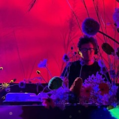 Philco - Live From Sunset Campout 2024