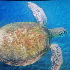 16_09 DREADheadz (20 GEL homerec 152).mp3