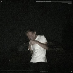 thetreesweep (feat. washpablo)