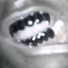 SMOKE! (prod.1jowisen)