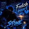 Foolish Heart RMX — cover