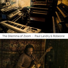 The Dilemma Of Zoom | Robeone | Paul Landry