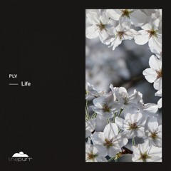 plv - Namaste (Original Mix)