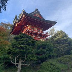 Tartagrade Dreams - 9/19/22, 5.36 PM.m4a