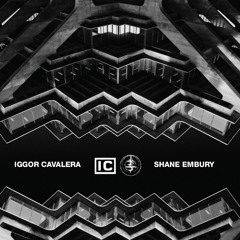 SHANE EMBURY - Own Your Darkness (excerpt)