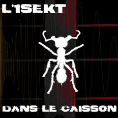 L'1SeKt - Dans le caisson
