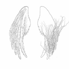 broken wings (prod. deadat18）