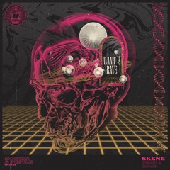 Want 2 Rave [Free Download]