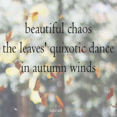 Peeking into the Lines of an Imperceptible Chaos (naviarhaiku467)