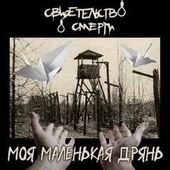 Свидетельство О Смерти - Моя Маленькая Дрянь