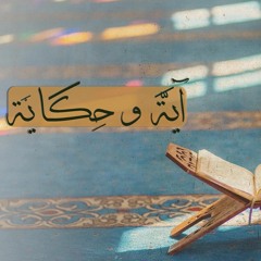004 برنامج آية وحكاية  إنما يخشى الله من عباده العلماء  الشيخ العفاسي والشيخ سعيد الكملي