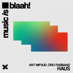 ANT Mifsud, Ciro Fabbiano  -  Haus