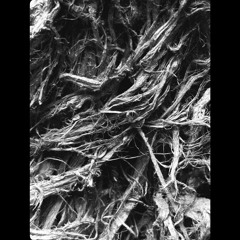USER ERROR [Free DL]