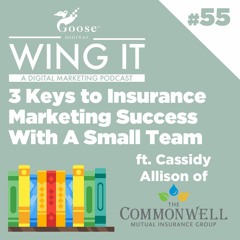 3 Keys to Insurance Marketing Success With A Small Team - Wing It Podcast Episode 55