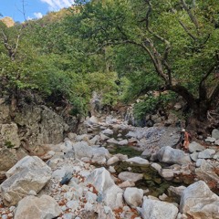Sounds of Fonias Gorge