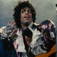 Prince - Sex Shooter (Damien Curry Remix) *FREE DOWNLOAD*