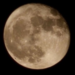 SexFood -Nightmare.mp3