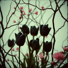 Anti-Valentine (Jungle_Grime) FREE DOWNLOAD