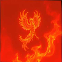 Spanish Senorita (LatinTech EDM Dance 1.0)