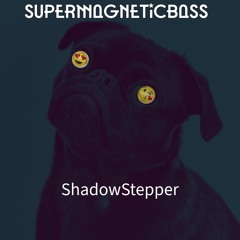 ShadowStepper