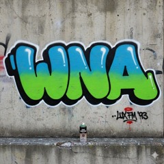 WNA - PERŁA W GÓWNIE (LUX SEKTOR).mp3