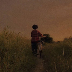 Walking In The Moonlight_cover