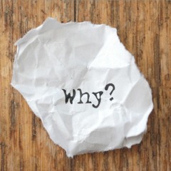 Ziggie Wonder - Why
