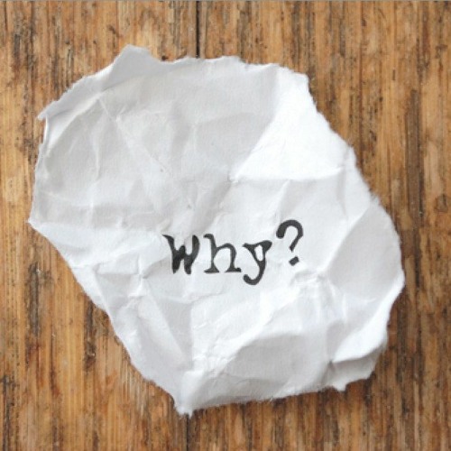 Ziggie Wonder - Why
