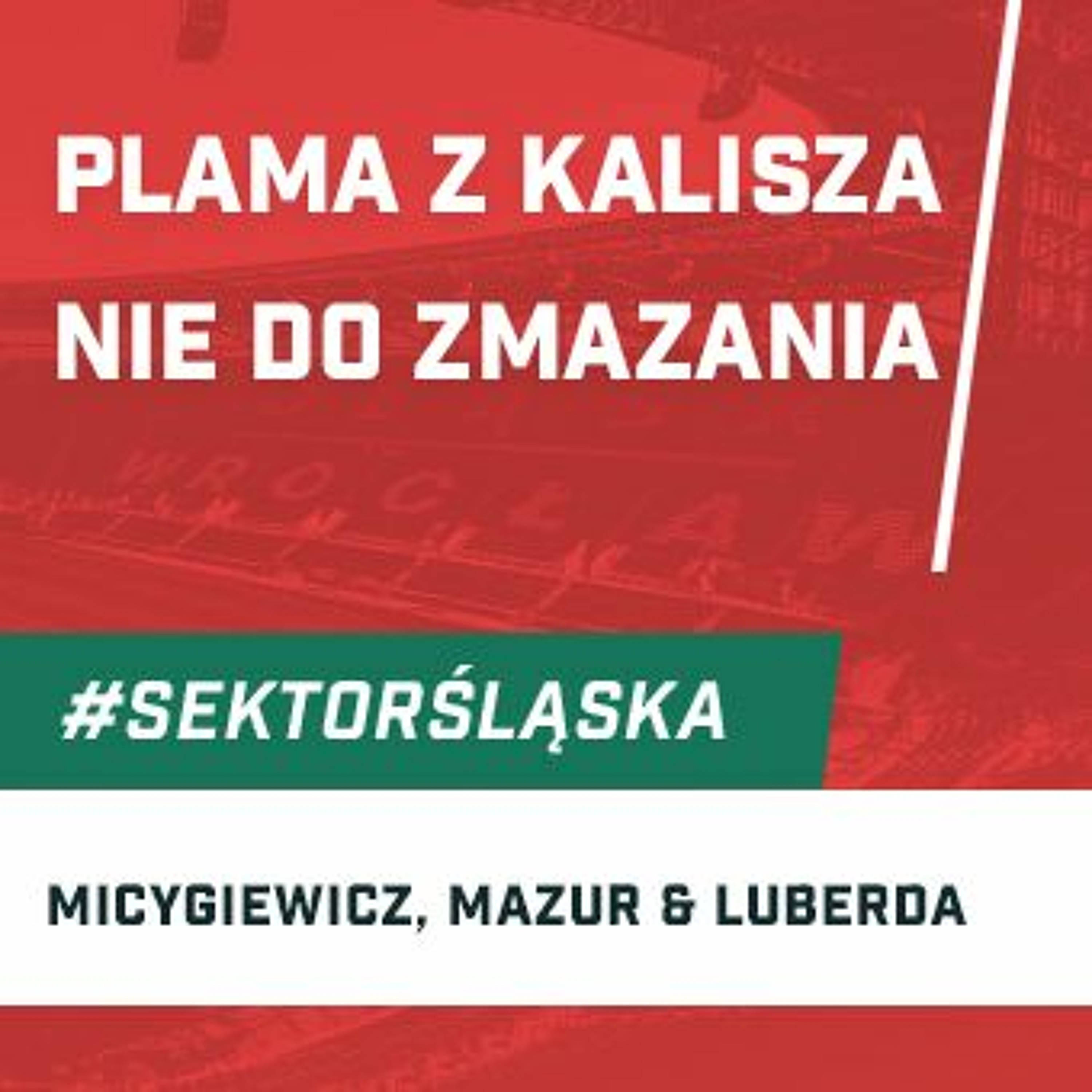 Śląsknet