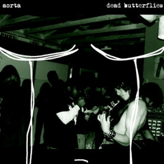 Dead Butterflies, Aorta - You Don't Know What You Did!