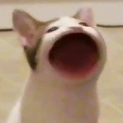 Mixes Week 12.19.2021